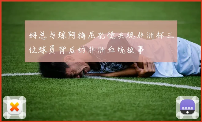 姆总与琼阿梅尼孔德共观非洲杯三位球员背后的非洲血统故事