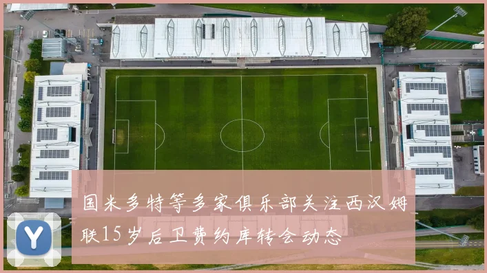 国米多特等多家俱乐部关注西汉姆联15岁后卫费约库转会动态