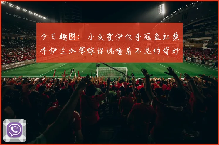 今日趣图：小麦霍伊伦夺冠鱼缸桑乔伊兰加零球你说啥看不见的奇妙瞬间