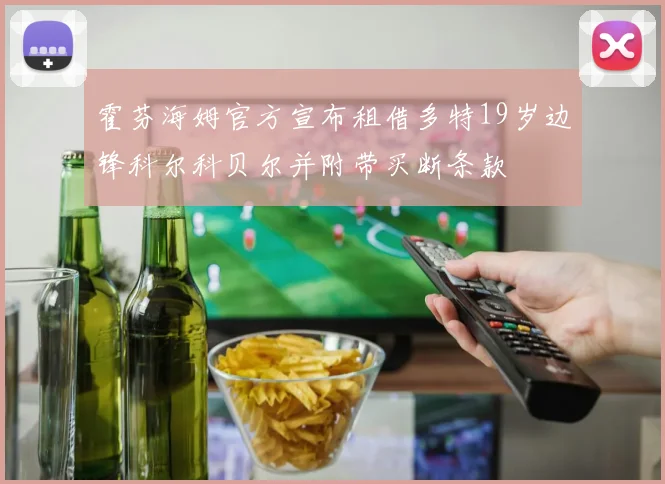 霍芬海姆官方宣布租借多特19岁边锋科尔科贝尔并附带买断条款