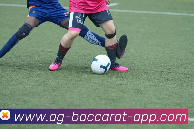 AG百家乐平台生态图